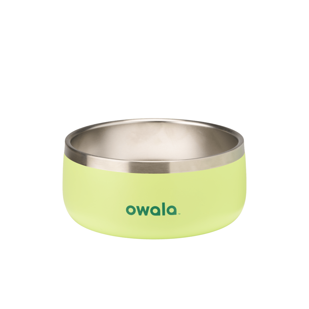 Pet Bowl  - Second Set 39