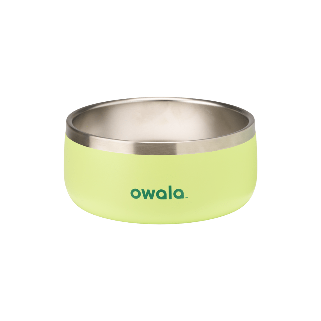 Pet Bowl  - Second Set 39