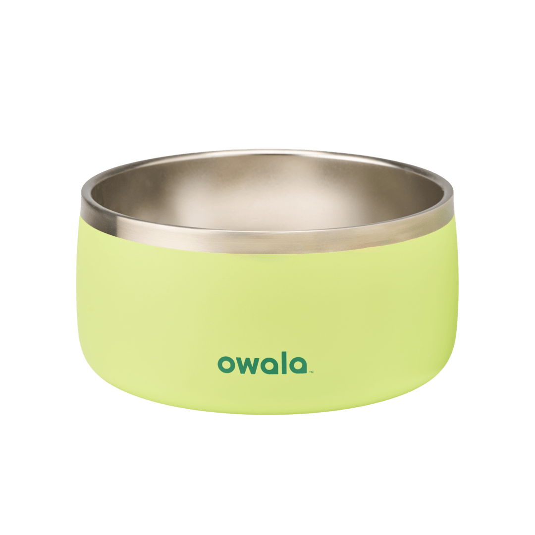Pet Bowl  - Second Set 39