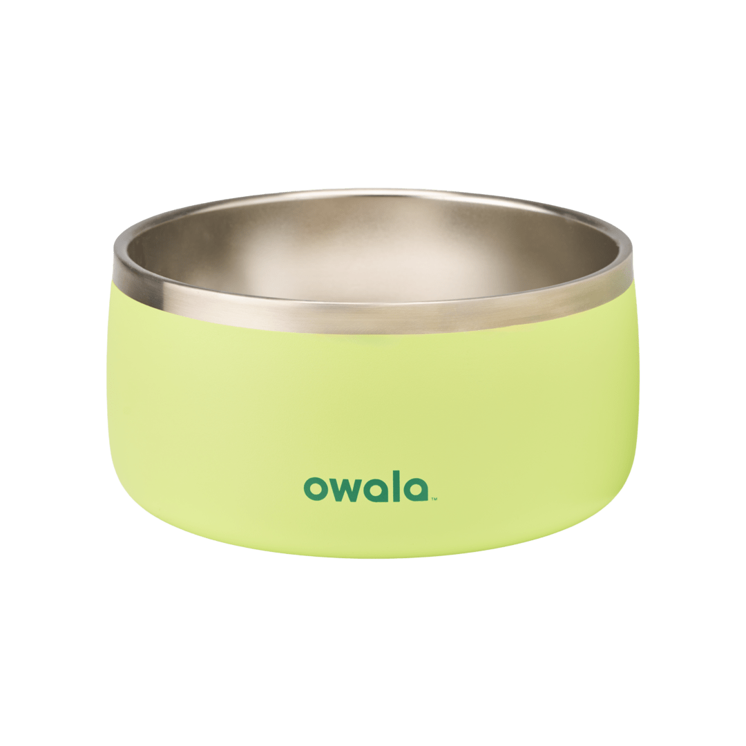 Pet Bowl  - Second Set 39