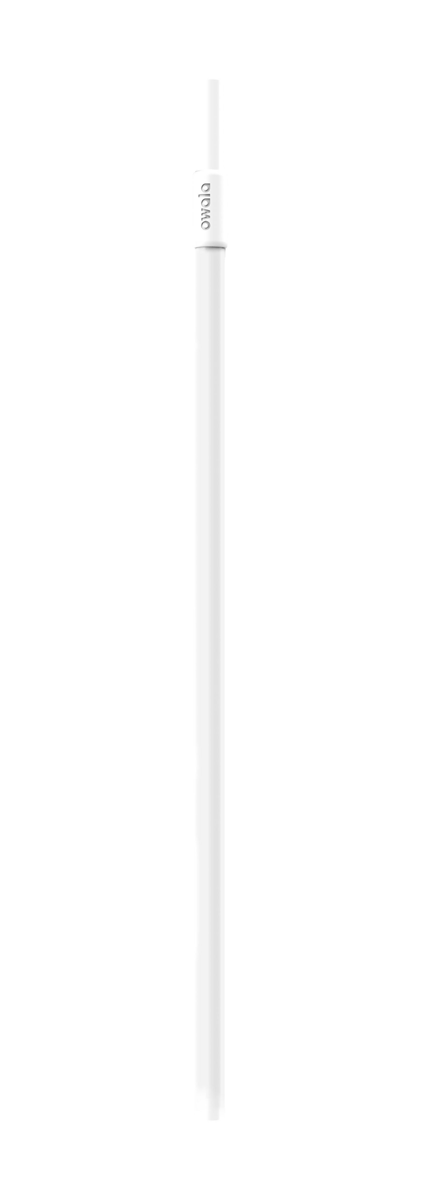 Replacement  Straws