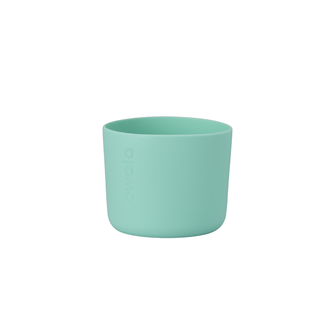 Pet  Bowl