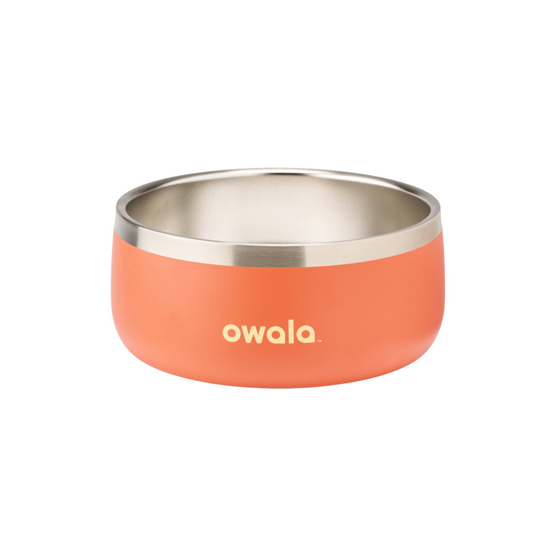 Pet  Bowl