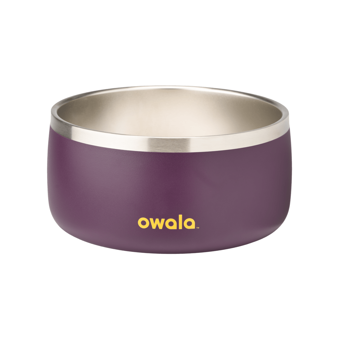 Pet  Bowl