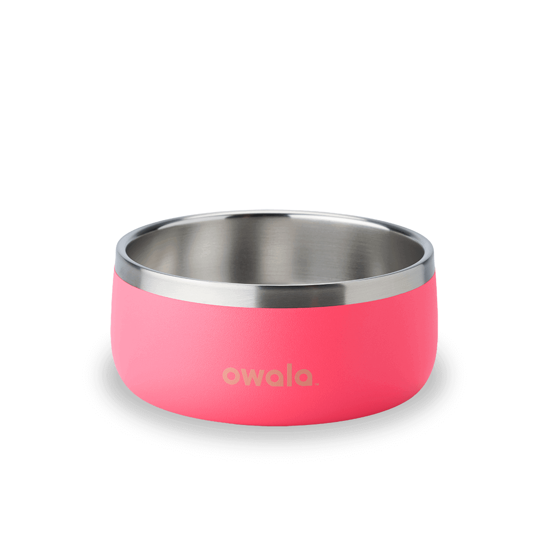 Pet Bowl  - Second Set 39