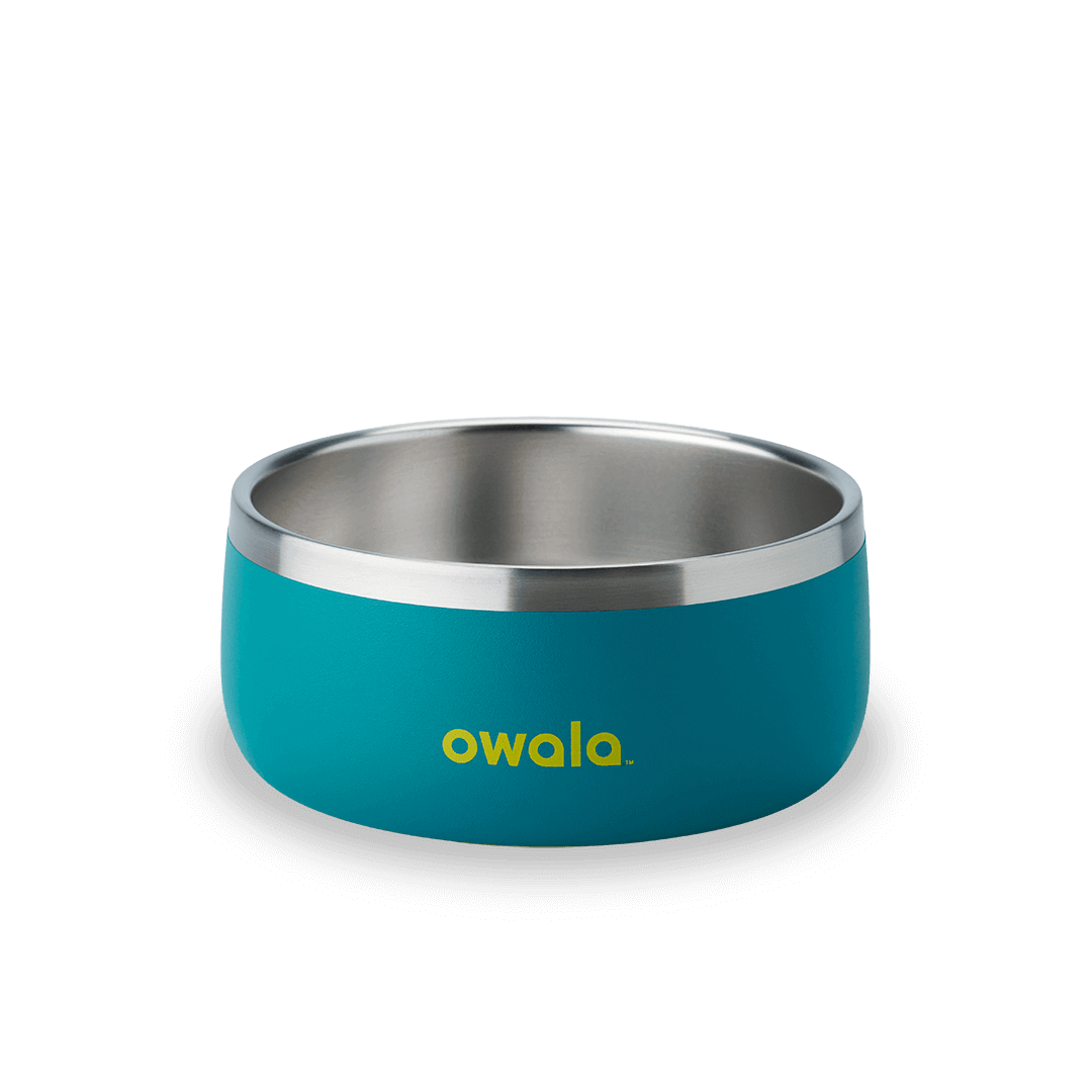Pet Bowl  - Second Set 39
