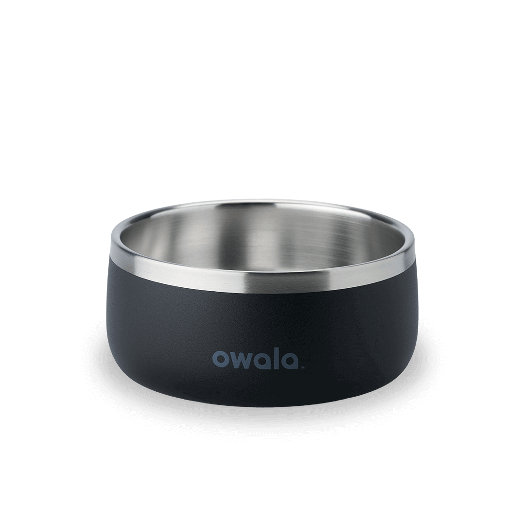 Pet Bowl  - Second Set 39